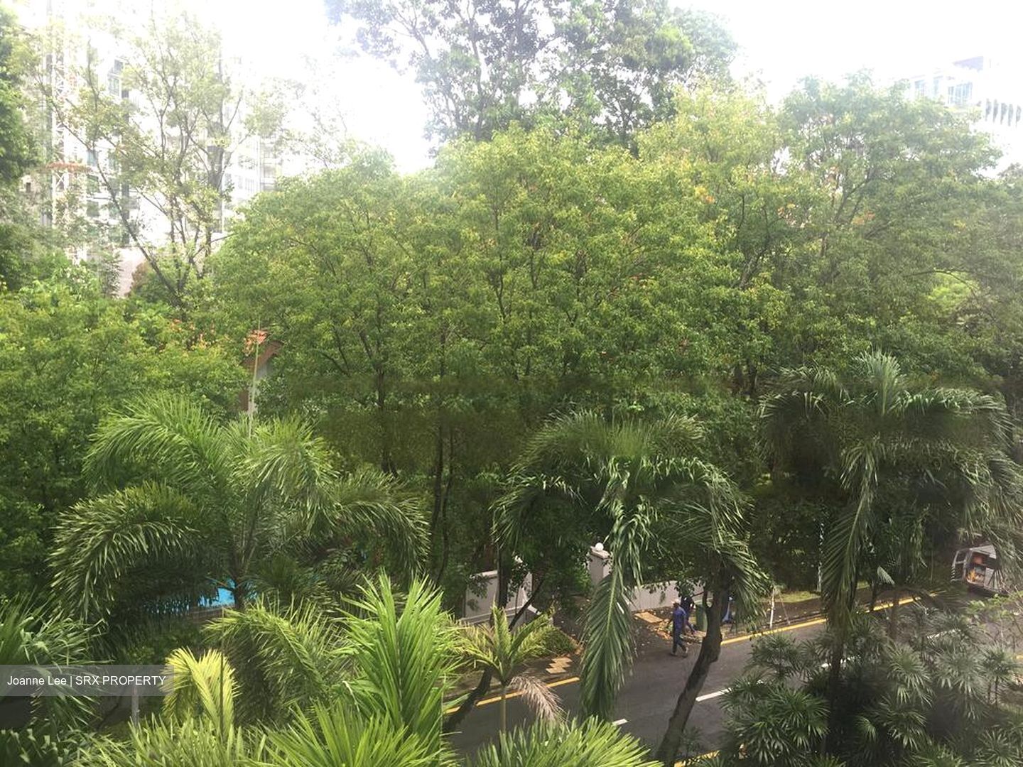 The Balmoral Spring (D10), Apartment #458911781